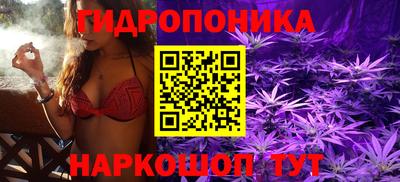 эйфоретик Жуковский
