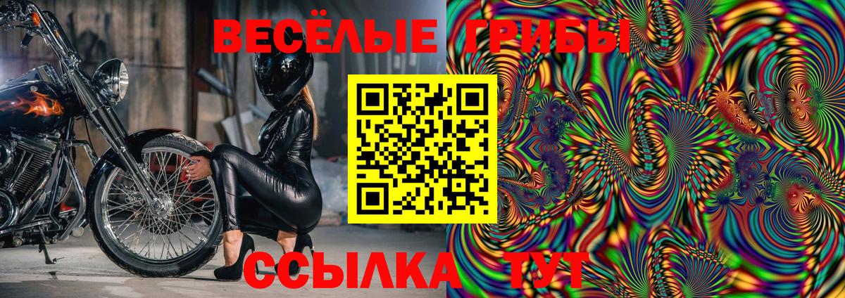 Псилоцибиновые грибы Cubensis Карпинск