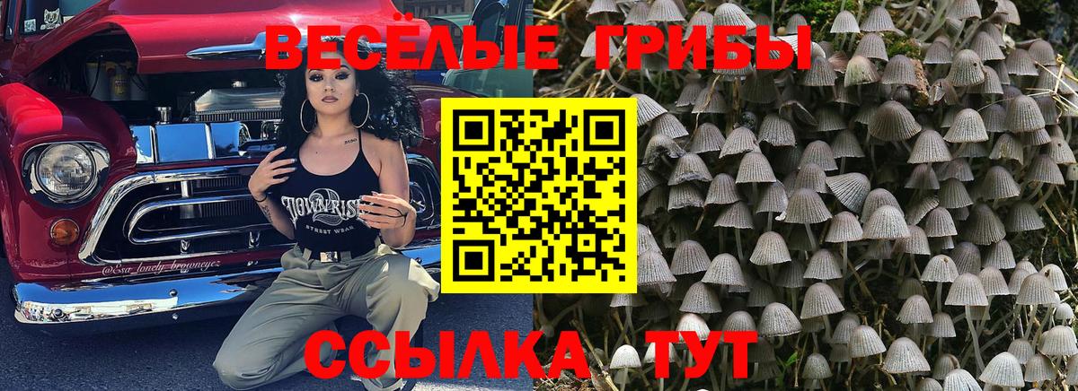 Галлюциногенные грибы MAGIC MUSHROOMS  где купить наркоту  Карпинск  Вход с VPN 